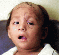 /album/fotogaleria/nino-gif/